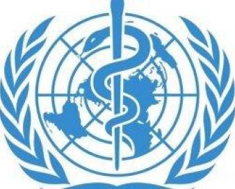 انصارالله سازمان جهانی بهداشت را به ارسال کیت‌های غیراستاندارد برای تشخص کرونا متهم کرد