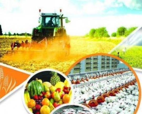 حذف یک ماده قانونی، قوز بالا قوز مشکلات کشاورزی!؟