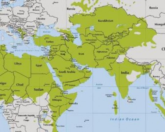 حضور دانشگاه های ۱۷ کشور اسلامی در رتبه بندی آسیایی تایمز ۲۰۲۲