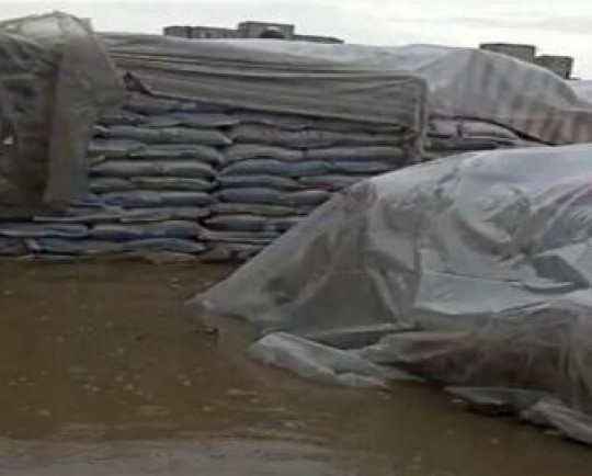 سیل اخیر 500 تن برنج در محوطه انبارهای زاهدان را از بین برد / گمرک: شرکت انبارهای عمومی به 3 اخطار پی در پی توجه نکرد