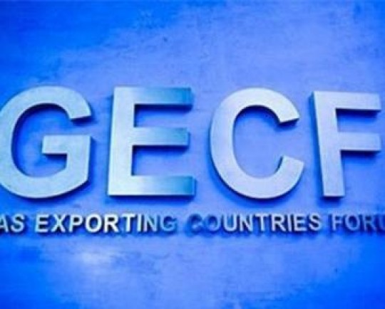 بیست‌وچهارمین نشست وزیران جی‌ئی‌سی‌اف در مصر برگزار می‌شود