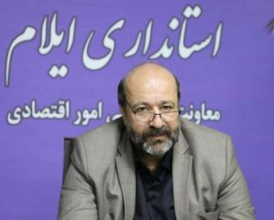 زمینه توسعه تعاونی‌ها در ایلام فراهم می شود