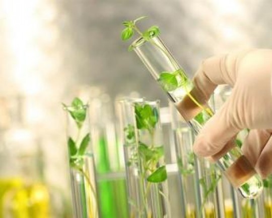 کاربردهای انرژی هسته‌ای بومی؛ تولید  قارچ‌کش بیولوژیک  توسط محققان ایرانی