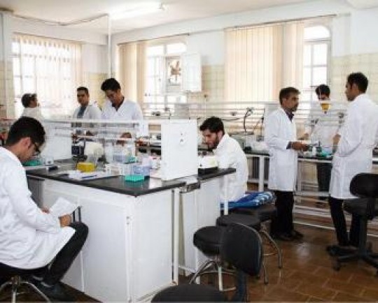 آیین نامه بیمه پژوهش با همکاری بیمه مرکزی تدوین می شود