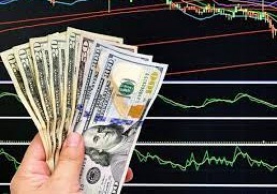 عبور از نیما با استفاده از رویه واردات از محل صادرات/ چالش لاشه فروشی در اظهارنامه‌های صادراتی