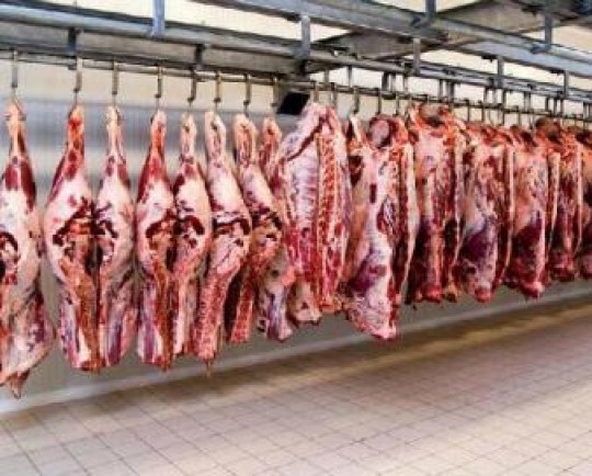 زنجیره تولید و توزیع گوشت قرمز در کرمانشاه نیازمند اصلاح است