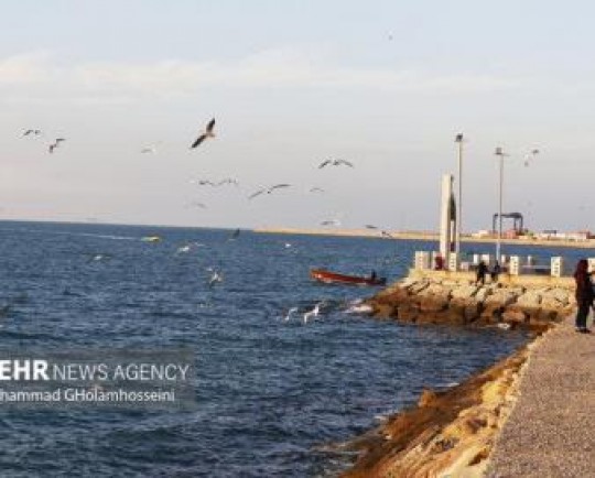 زیرساختهای گردشگری دریایی در استان بوشهر تقویت میشود
