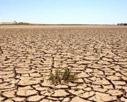 اقدام فائو برای تحول مدیریت مناطق خشک