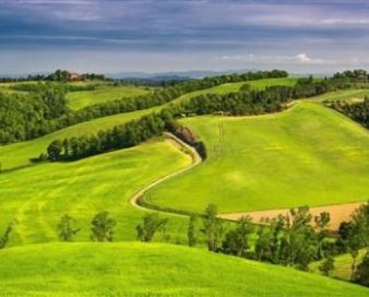 حفظ مراتع  کشور نیازمند پشتوانه ملی و فراوزارتخانه‌ای است