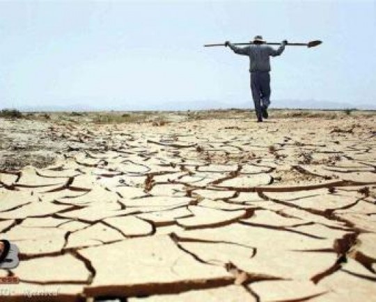 سرما و خشکسالی ۵۰۵ میلیارد تومان به عشایر خسارت زد