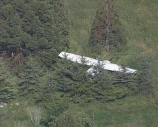 سقوط هواپیمای سبک در جنوب فرانسه/ سه نفر کشته شدند