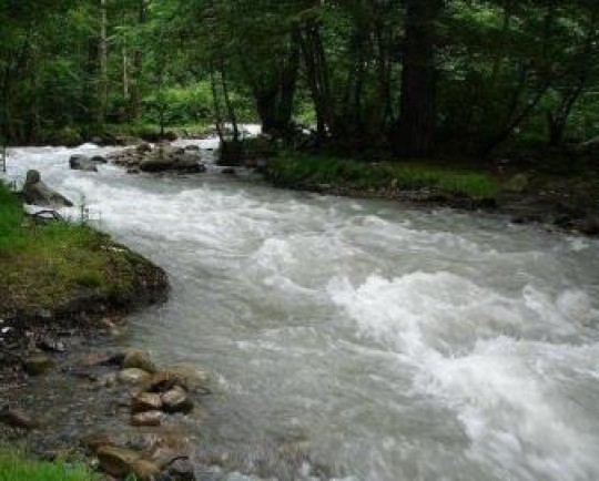 کشف یک گونه ماهی ۱۲ میلیون ساله توسط محقق گیلانی