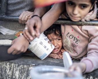 بیش از 1.1میلیون نفر در غزه با ناامنی شدید غذایی روبرو هستند